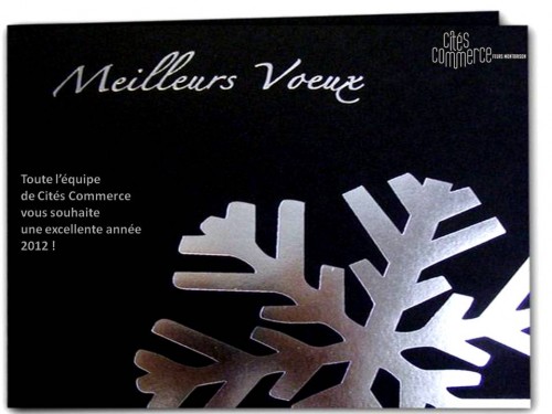Voeux 2012.jpg